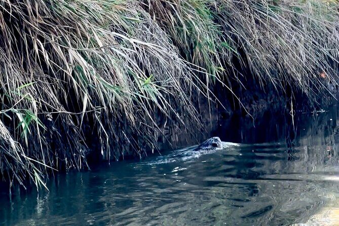 Scappoose Bay Kayak Adventure Private tour - Final Thoughts: Is It Worth It?