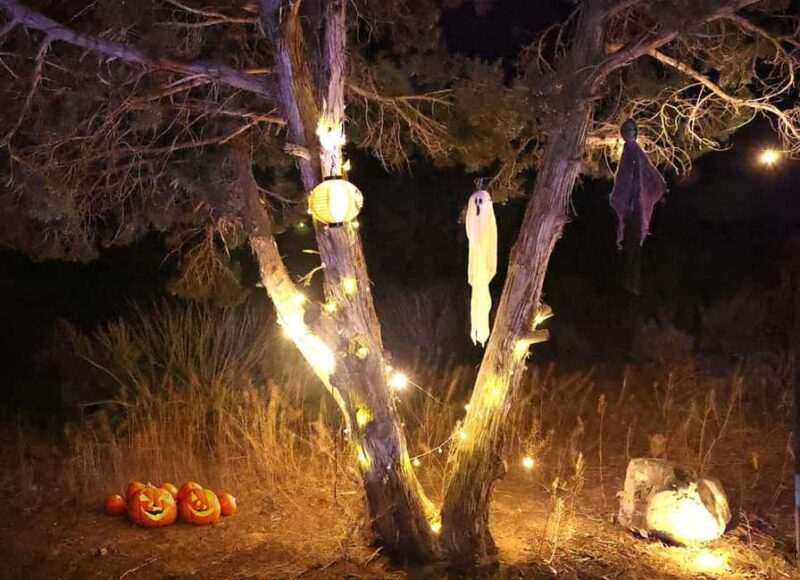Scary Movie Night in the Desert - Is This Experience Worth It?