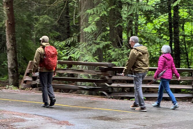 Scavenger Hunt Adventure with Geocaching in Whistler - What Could Be a Drawback?