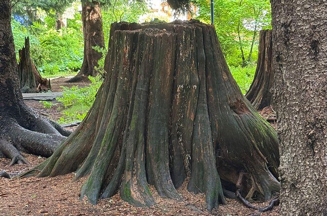 Scavenger Hunt Adventure with Geocaching in Whistler - The Experience in Context