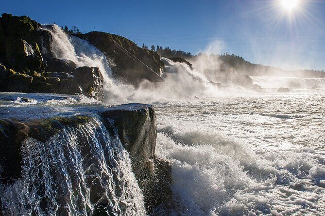 Scenic 2-Hour River Cruise to the Majestic Willamette Falls! - Key Points