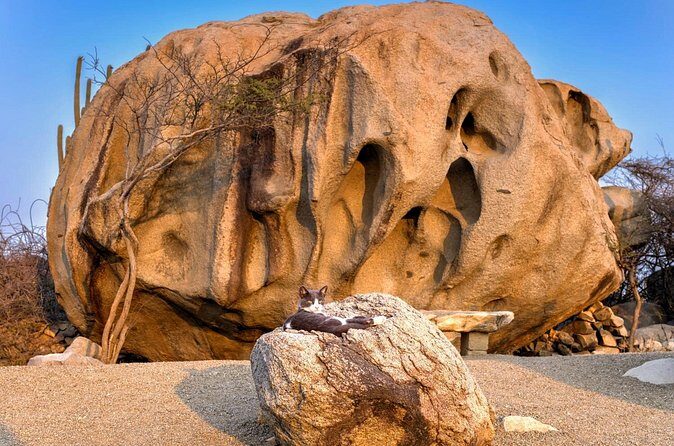 Scenic Aruba Self-Guided Driving and Walking Audio Tour - FAQ