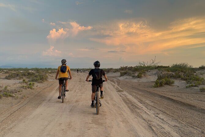 Scenic Bay Bike Ride Through Desert and Mangrove - Who Is This Tour Best For?