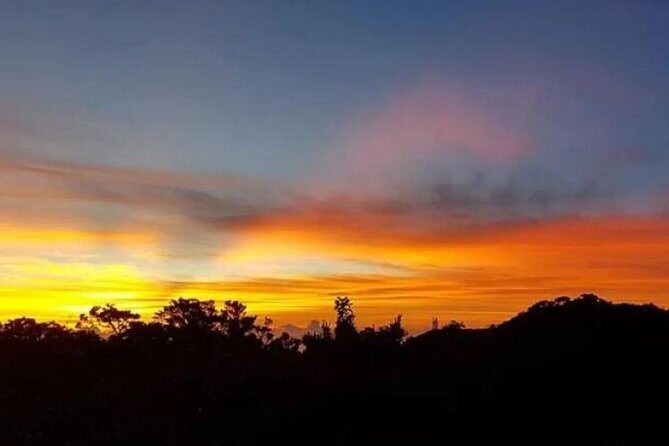 Scenic Blue Mountain Hike from Kingston - Scenic Blue Mountain Hike from Kingston: A Detailed Review