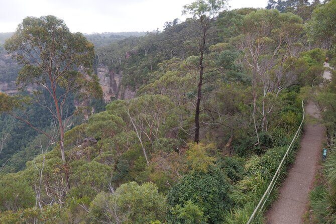 Scenic Blue Mountains 2-Day Shared Tour - A Deep Dive Into the Blue Mountains 2-Day Tour: What You Can Expect