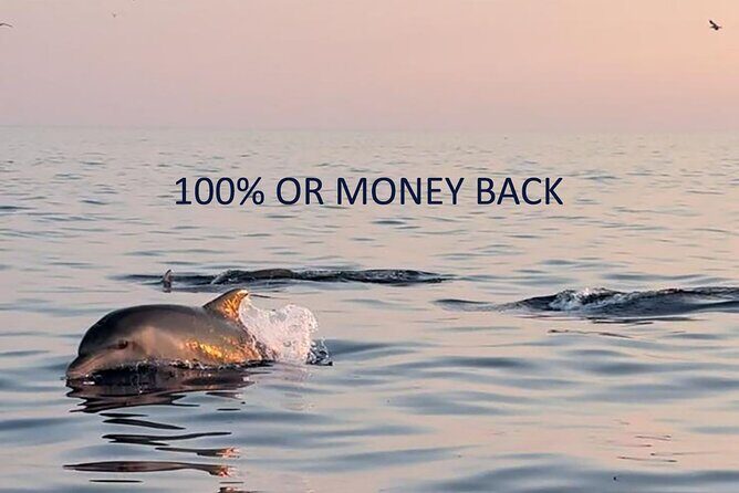 Scenic Boat Rides in Rovinj Sunset and Dolphin Tours - Key Points