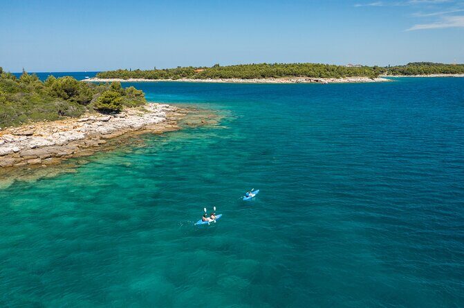 Scenic Boat Rides in Rovinj Sunset and Dolphin Tours - Who This Tour Is Perfect For