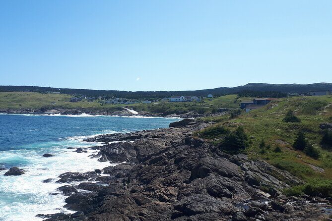 Scenic Bus Tour of the Northeast Avalon from St. John's - Practical Tips for Travelers