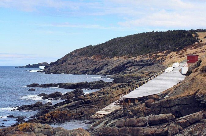 Scenic Bus Tour of the Northeast Avalon from St. John's - Who Will Enjoy This Tour?