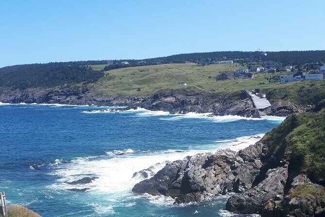 Scenic Bus Tour of the Northeast Avalon from St. John's - FAQ