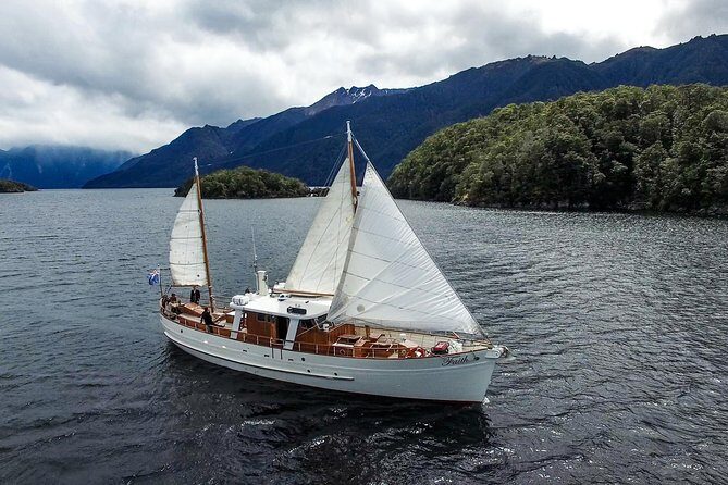 Scenic Cruise & Guided walk on Historic Motor Yacht Lake Te Anau - An in-depth look at the Lake Te Anau scenic cruise experience