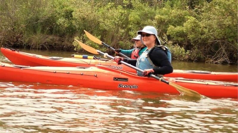 Scenic Double Bayou | TX Gulf Coast Wetlands Eco Tour - In-Depth Review of the Scenic Double Bayou Eco Tour