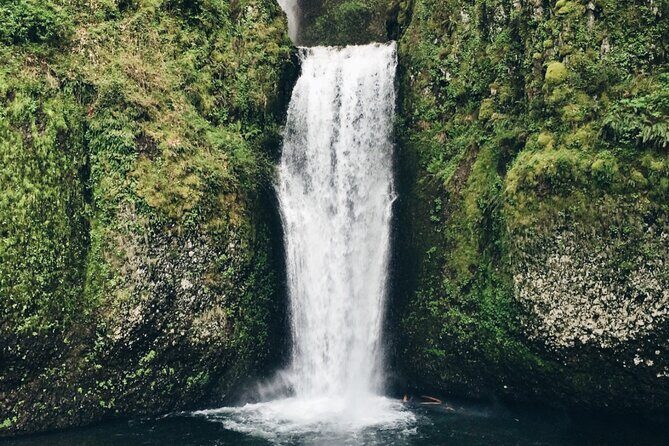 Scenic Drive and Cruise from Queenstown to Milford Sound - Who Would Love This Tour?