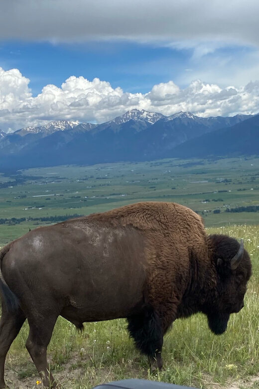 Scenic Driving Tour Flathead Lake and Bison Range - Key Points