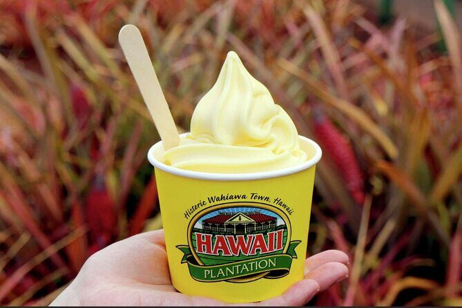 Scenic full day circle island tour-snorkeling/breakfast included - Who Should Consider This Tour