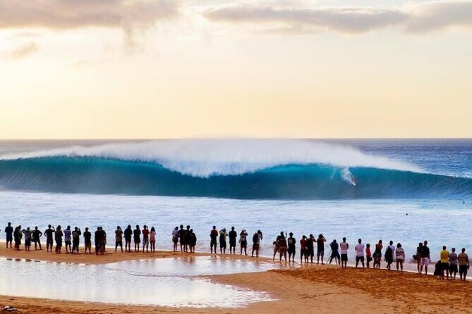 Scenic Half Day North Shore Tour Turtle Bay pickup only - Discover the North Shore of Oahu with a Local Touch