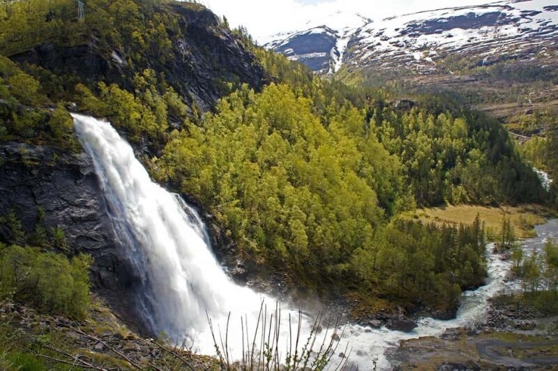 Scenic Hardanger Fjord and waterfalls  Guided bus tour - Who Will Enjoy This Tour?