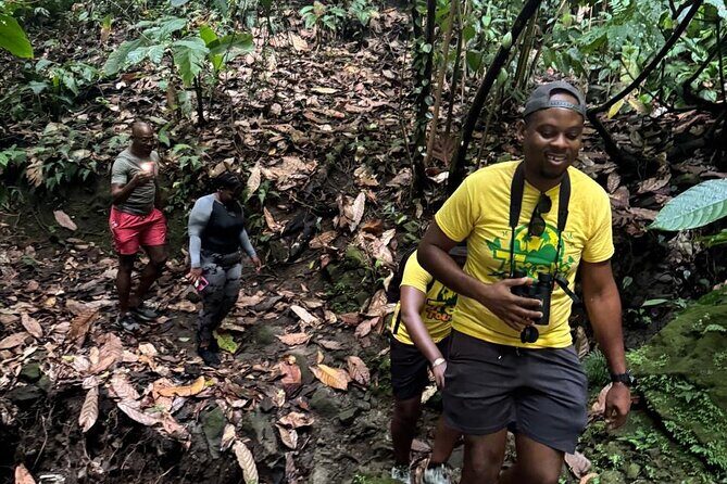 Scenic Hiking Trail Adventure of Montserrat - A Guided Hike Through Montserrat’s Natural Beauty and Hidden Gems