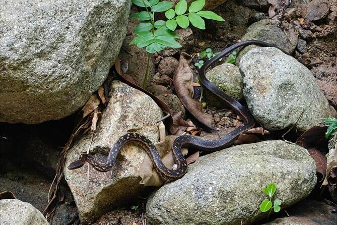 Scenic Hiking Trail Adventure of Montserrat - Key Points