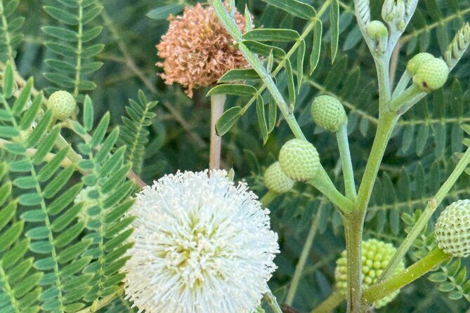 Scenic Hiking Trail Adventure of Montserrat - Final Thoughts: Is It Right for You?