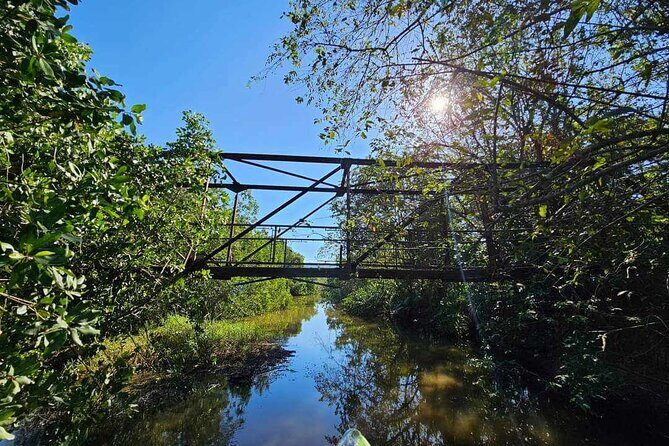 Scenic & Historical Nature Boat Safari Up the Negril River - FAQ