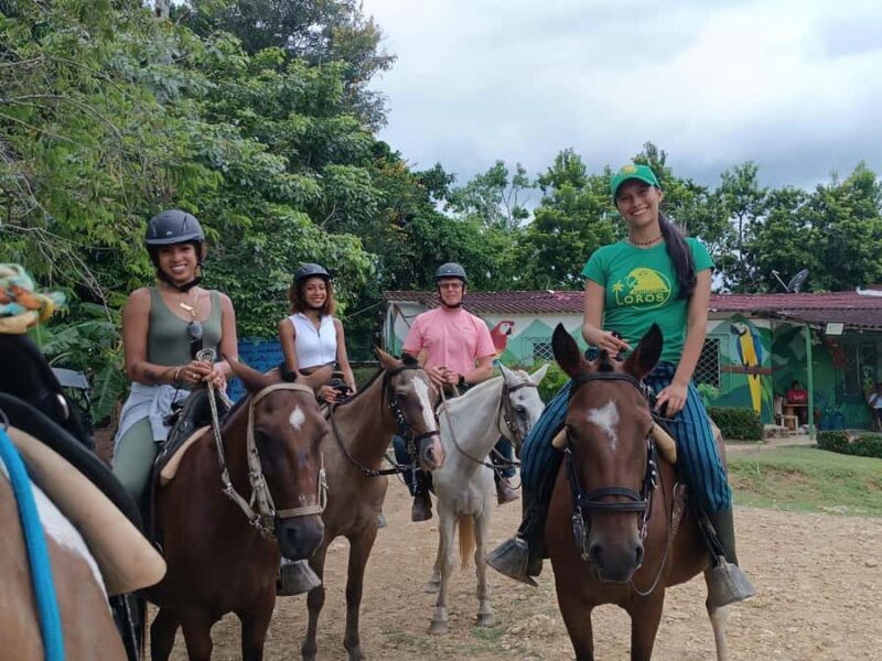 Scenic Horseback Ride in Tropical Mountain Reserve - Scenic Horseback Ride in Tropical Mountain Reserve: Authentic Colombian Nature and Conservation