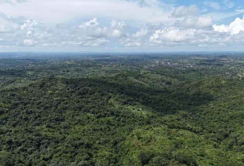 Scenic Horseback Ride in Tropical Mountain Reserve - Authentic Experiences and Real Feedback
