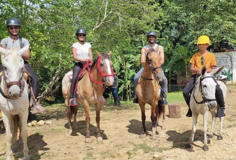 Scenic Horseback Ride in Tropical Mountain Reserve - Who Will Love This Tour?