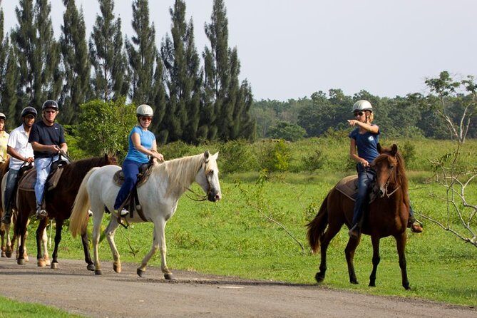 Scenic Horseback Riding Tour from San Juan - Key Points