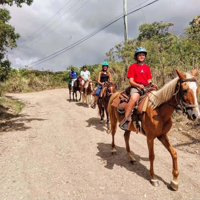 Scenic Horseback Trail - Exploring the Scenic Horseback Trail