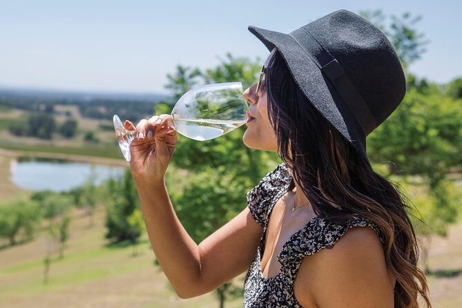 Scenic Hunter Valley Tour with Wine and Cheese Tastings - Who Is This Tour Best For?
