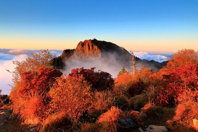 Scenic Jiri Mountain Autumn Foliage One Day Tour from Busan - Discover the Beauty of Mt. Jiri in Autumn: A One-Day Scenic Tour from Busan