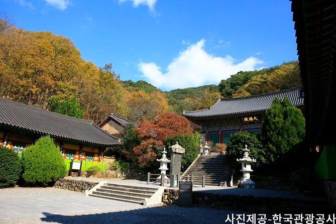 Scenic Jiri Mountain Autumn Foliage One Day Tour from Busan - Key Points