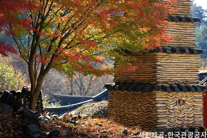 Scenic Jiri Mountain Autumn Foliage One Day Tour from Busan - Final Thoughts