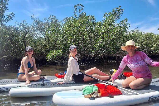 Scenic Mangrove Tunnel Paddle Tour  New Smyrna Beach - Key Points