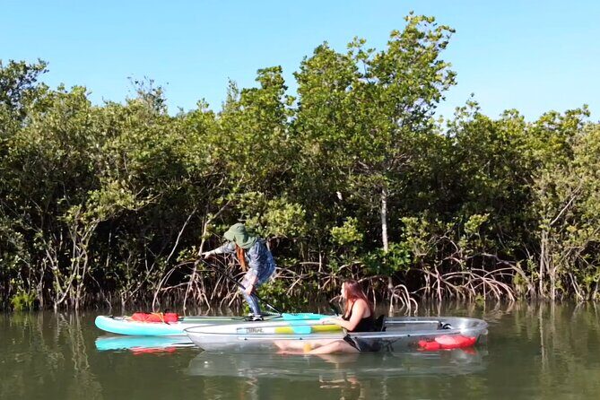 Scenic Mangrove Tunnel Paddle Tour  New Smyrna Beach - Why This Tour Works for Different Travelers