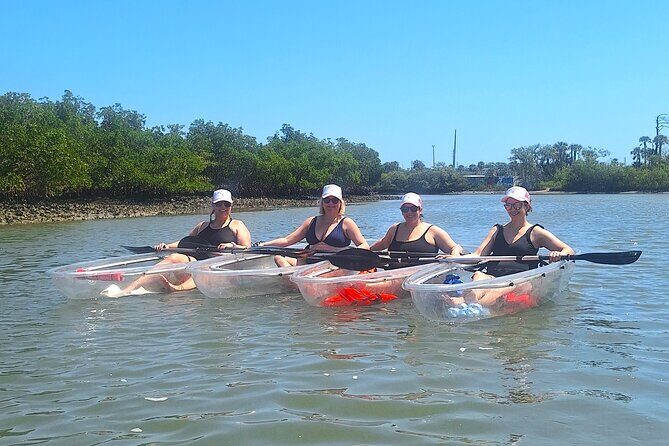 Scenic Mangrove Tunnel Paddle Tour  New Smyrna Beach - Summary: Who Should Consider This Tour