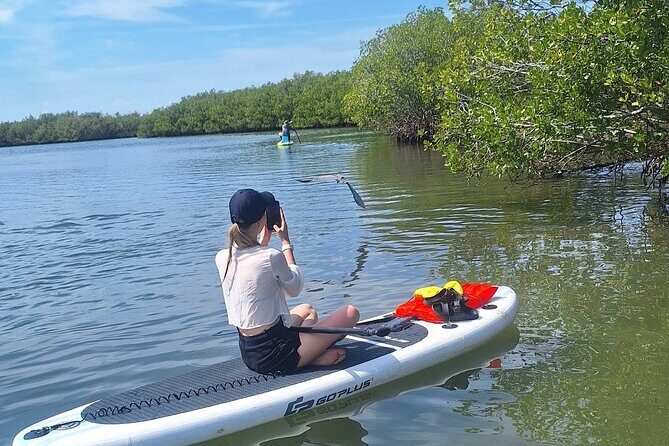Scenic Mangrove Tunnel Paddle Tour  New Smyrna Beach - FAQ Section