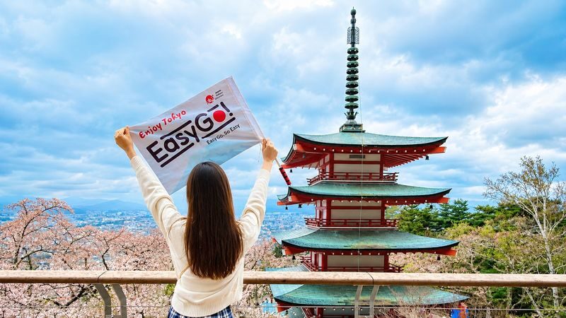 Scenic Mt. Fuji Day Tour from Tokyo: 5th Station, Matcha Experience - Fujiyoshida’s shop street and shrine steps