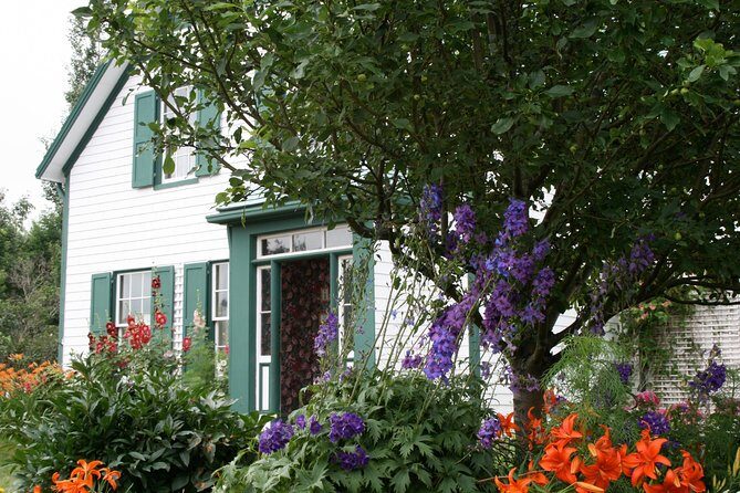 Scenic North Shore and Anne 5 Passengers only - In-Depth Review: The Perfect Private PEI Day