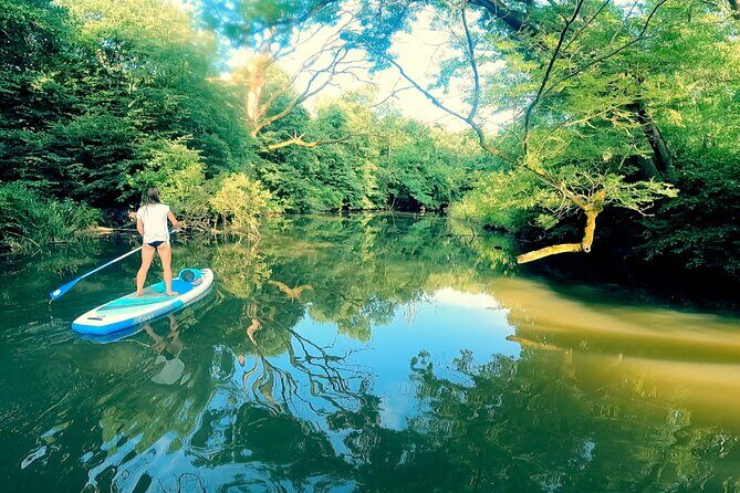 Scenic Paddleboarding Adventure: Nové Mlýny to Lednice - Key Points