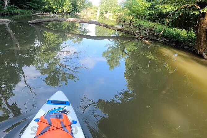 Scenic Paddleboarding Adventure: Nové Mlýny to Lednice - The Sum Up