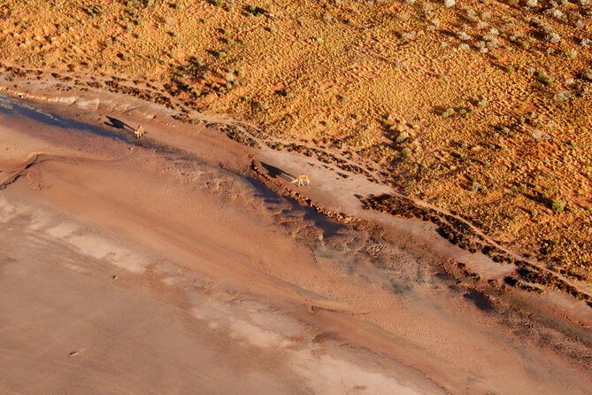 Scenic Plane Flight: Lizard Safari - The Sum Up: Is It Worth It?