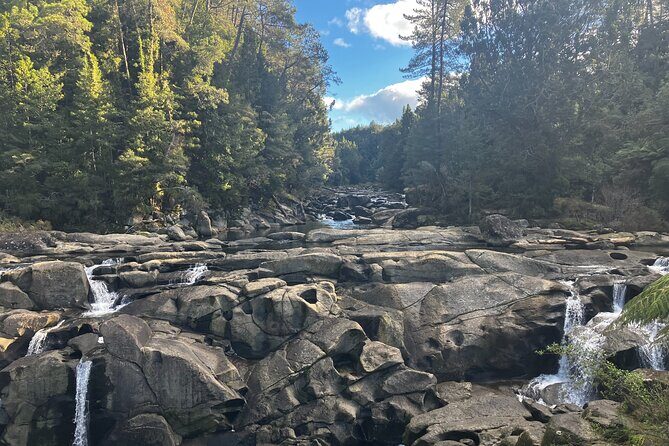 Scenic Short Hike Tour - Papamoa Hills and McLaren Falls - Exploring Tauranga’s Natural Treasures: A Walk Through Papamoa Hills and McLaren Falls