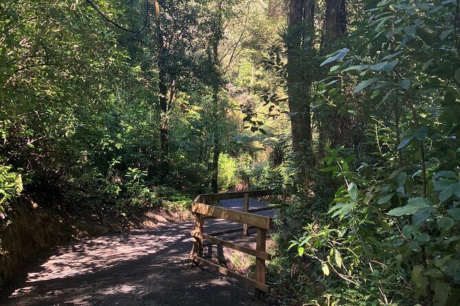 Scenic Short Hike Tour - Papamoa Hills and McLaren Falls - Final Thoughts: Is This Tour Worth It?