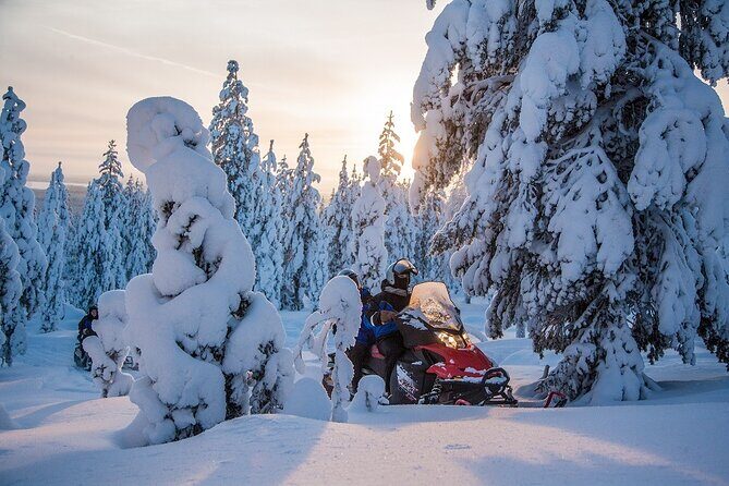 Scenic Snowmobile Safari in Saariselkä - Key Points