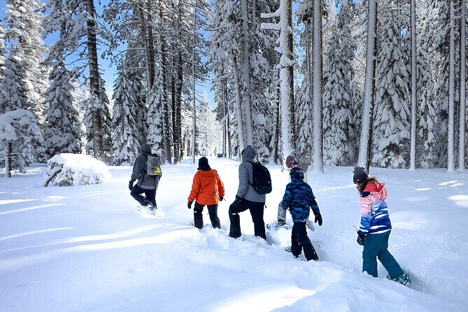 Scenic Snowshoe Adventure in South Lake Tahoe, CA - Who Will Love This Tour?