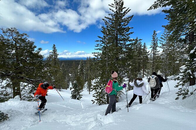 Scenic Snowshoe Adventure in South Lake Tahoe, CA - The Sum Up