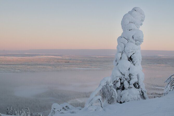Scenic Snowshoeing on the Top of Pyhä Fell - An In-Depth Look at the Pyhä Snowshoeing Tour