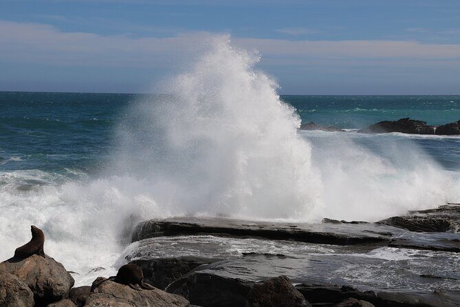 Scenic South Wairarapa Full Day Tour from Wellington - Exploring the South Wairarapa on a Private Full-Day Tour